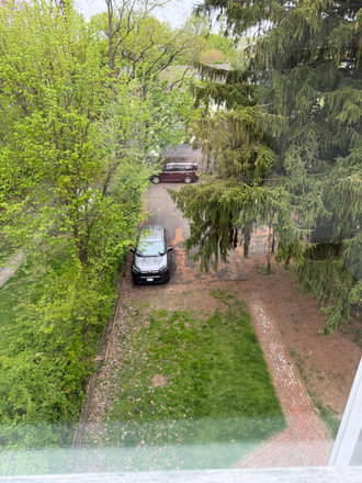 Rear parking & yard - 2BR apt-Humbert St-Princeton