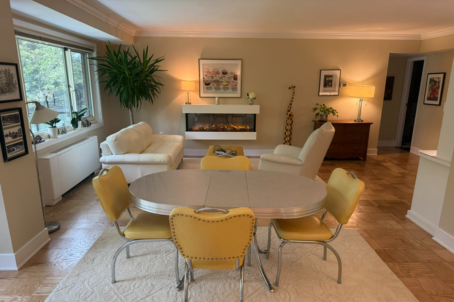 Dining and living areas - Large 1-brm apartment close to campus