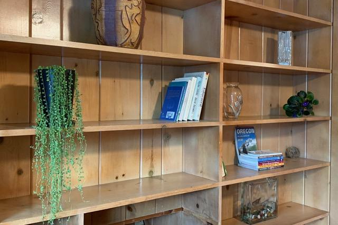 book shelves in living room - Central, spacious, gardens. Beautiful neighborhood. Untilities WiFi included. House