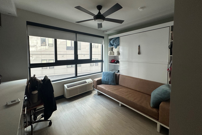 Couch, Pull-down Bed, Desk, Windows - The Hub State Street Apartments