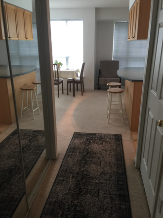 Hallway - Studio Condo at Bay/Wellesley