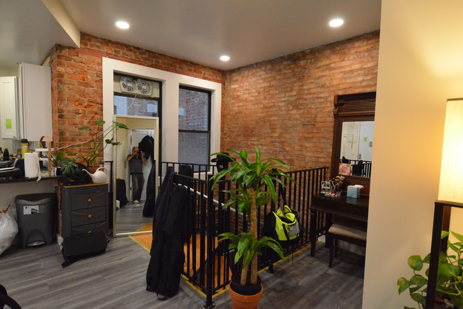 Living room - Amazing, Beautiful, Cozy 3 Bed on Westland Ave! Avail 9/1 Apartments