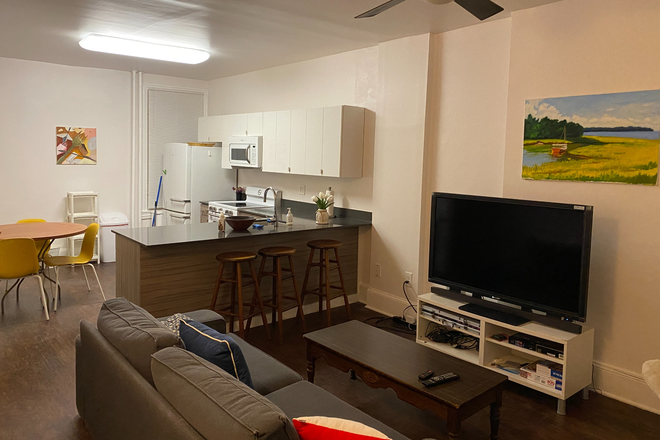 Living room (1) first floor - Private Room in Penn house