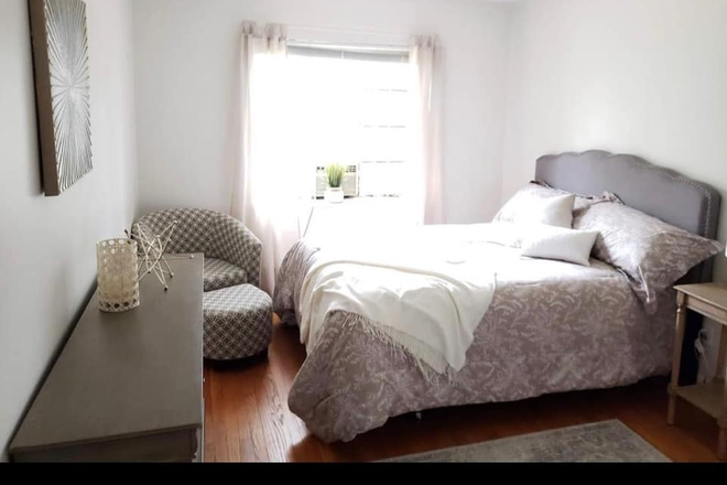 Bedroom - 2 Bedroom 1 Bathroom Apartment