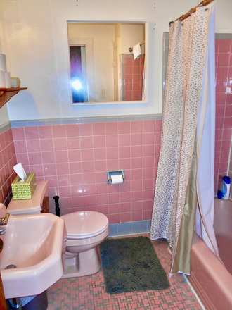 Bathroom - Super Sunny Spacious 1BR W- Lv Dn W+DR 2-Pk Mod EIK steps 2 T + Heart of Newtonville WOW
