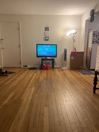 Living Room. If you’re interested, give me a call or email. I can set up a time for virtual or inperson tour of the entire apartment - Private Room in a 2Bed 1Bath apartment