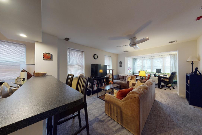 living area - Walnut Street Apartment, across the street from Saads