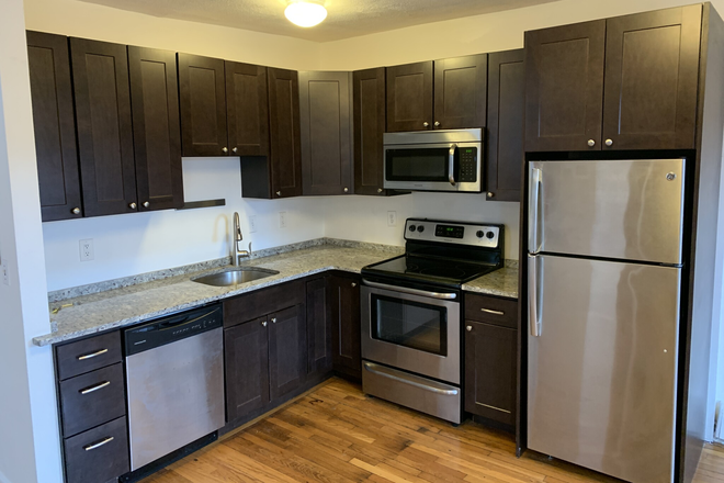 KITCHEN - SOUTH END EAST SPRINGFIELD ST  2 BED **JANUARY 1ST  **BU-MGH MED Apartments