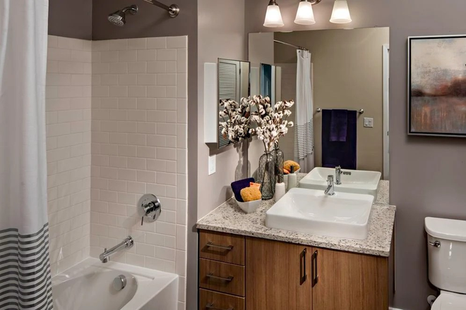 Bathroom - Summer sublet: 1BR apt-Albert Way-Princeton