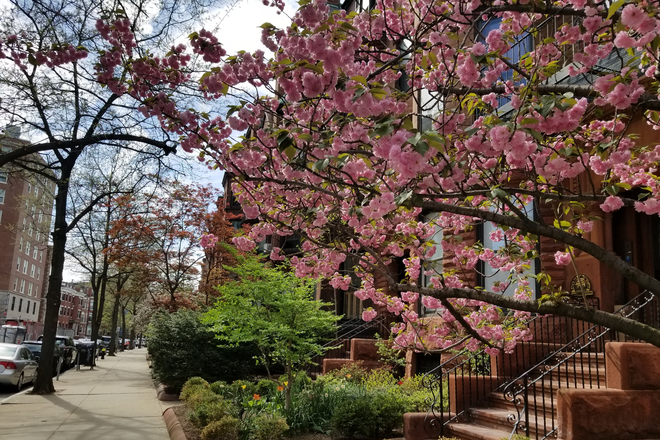 Street Views - RIVER LOCATION! Near Univ,Hospitals,T,Walk Everywhere.Safe,CentralCity Location! Condo