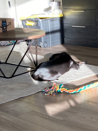 Living room is spacious - Harper Grand