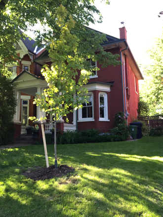 Ext. House - 1 Furnished Bedroom Apt. in Detached House w / Private entrance, Queen West  WIFI available.