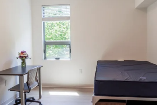 Bedroom - Discount on Fieldstone Graduate Housing (01/01/26 - 07/31/26) Apartments