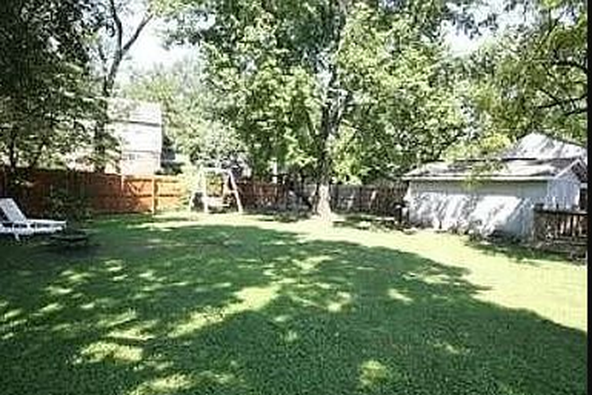 large backyard - HUGE Home w/big closets and storage - Close to Campus with Fenced in Backyard