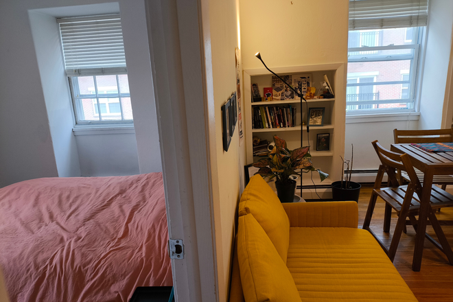 Bedroom and living room area - Summer Sublet:Furnished 1BR apt-Spring St-Princeton