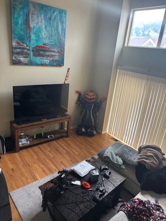 Downstairs living room - Room Sublet in Town House