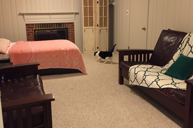 Bedroom / study - Quiet family home - 1BR/1BA suite near Va.Sq.-GMU metro.