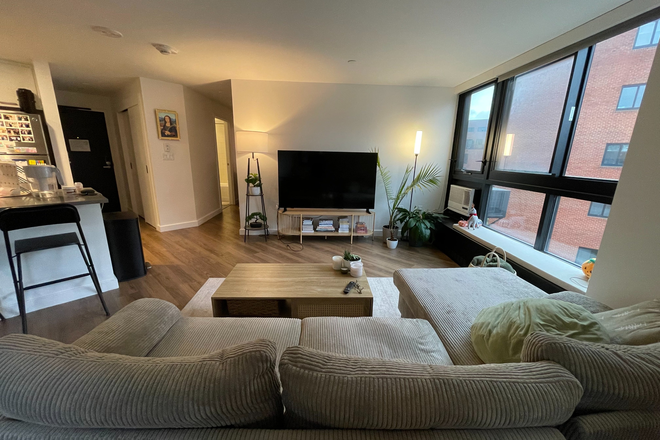 Living room - 2 Soldiers Field Park Apartments