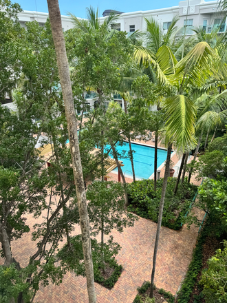 Pool area - UM Family Owned Condo.Fully Furnished! Less than a mile to Campus!