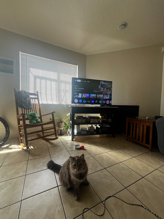 Living room - Year Sublease: Room Available in a Lovely Home Near Campus, Starting July 2025