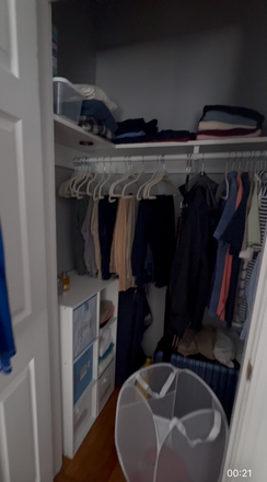 Closet - 231 Chesnut Hill Ave