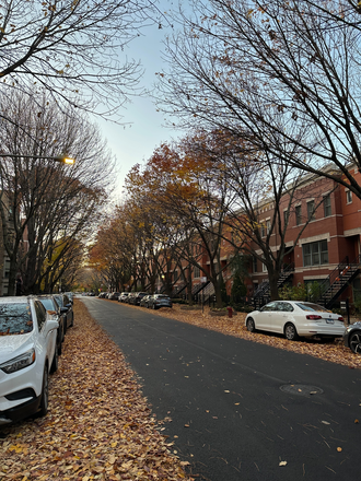 Outside Street View 2 - Brand-New 3BR Basement Apartment | Utilities Included | Near UIC & Rush