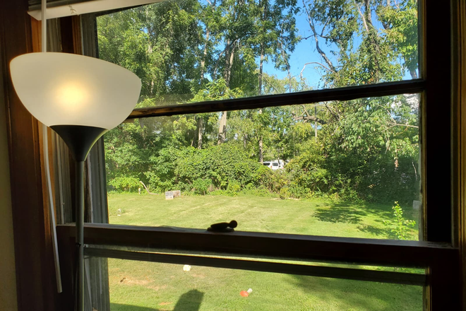 Bedroom (Outside View) - 1 Bedroom Sublease Apartments