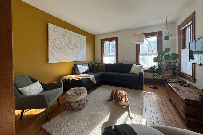 Living room with Lily! - Affordable Room Open June 1st in Spacious 3 Bedroom Duplex (Seeking grad student)