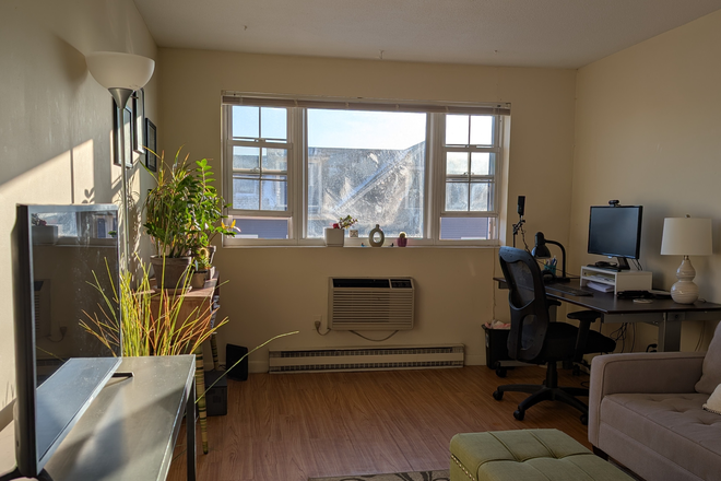 Living Area - Furnished 1-bedroom apartment near Porter Sq.
