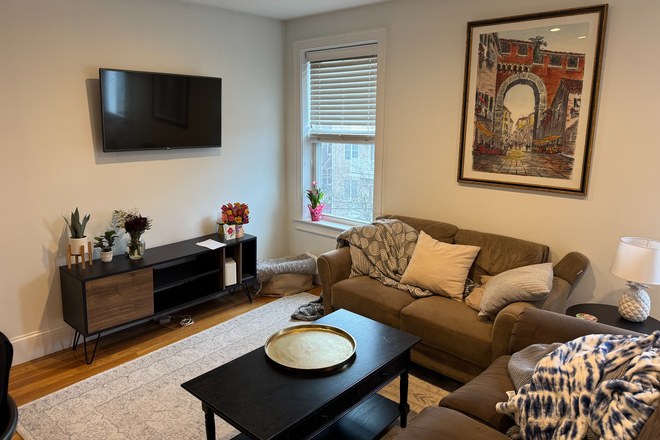 Living room - SPACIOUS 3 Bed/2 Bath w/ Central AC & Private Deck! Avail. 9/1/26!! Apartments