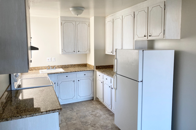 kitchen - Apartment for rent 1 block from USF Koret center