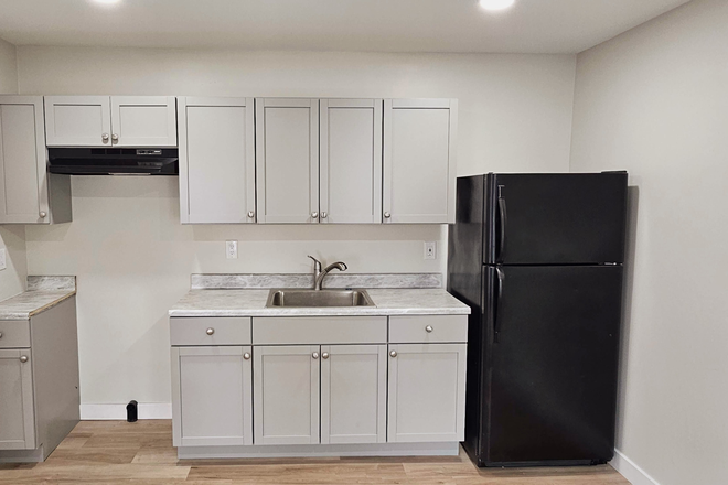 Kitchen/living - Renovated Studio Apt