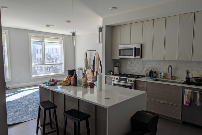 Kitchen and Living Room - 1 room in 3 bedder, new building, pleasant room close to Orange Line, available Apr 2025