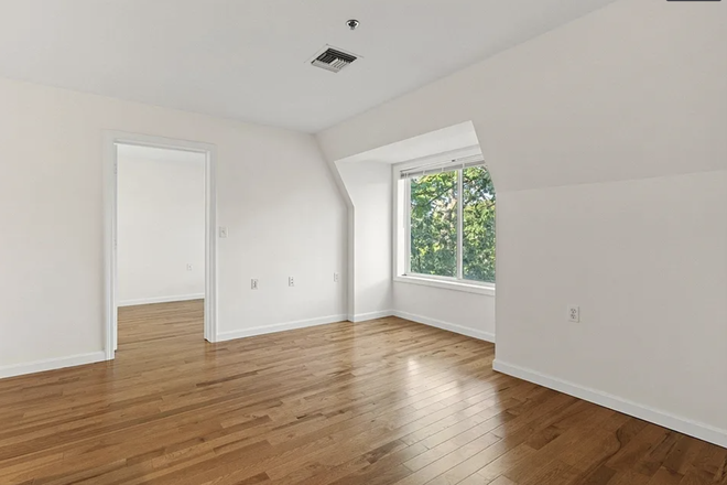 living room - Private room and private en-suite bathroom available in beautiful JP with views of Jamaica Pond Apartments