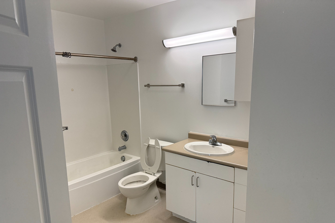 Bathroom - Commons 7 3x2 $800/Month Apartments