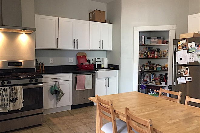 Kitchen - 3-Bed Cambridge Gem! | Renovated Kitchen, Hardwood Floors, Laundry in Building | Available Sept 1st Apartments