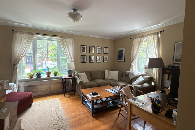 Living room - Amazing 2-Bedroom Near Longwood Medical & Harvard