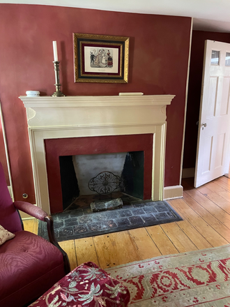 Back of living room.  Fireplace decorative  only. - Furnished 1BR apt-Moore St-Princeton