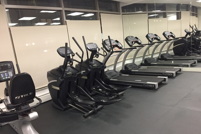 Gym - Sunny Studio Apartment Near Campus