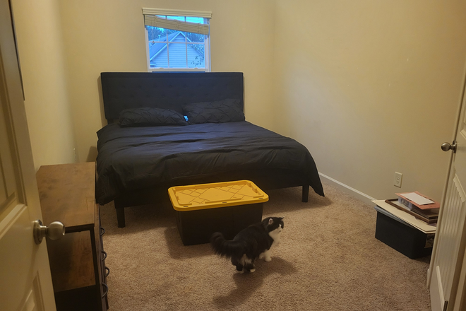 Photo - Home close to campus.