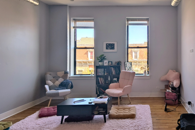 Living Room - Looking for a roommate starting August 2025 (8/1) in Pilsen apartment!