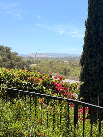 View outside condo - Room for Rent in Condo with Resort Style Amenities