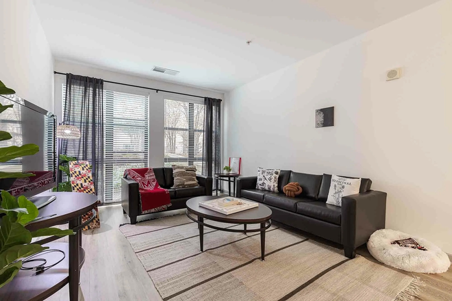 Living Room - The Varsity College Park Apartments