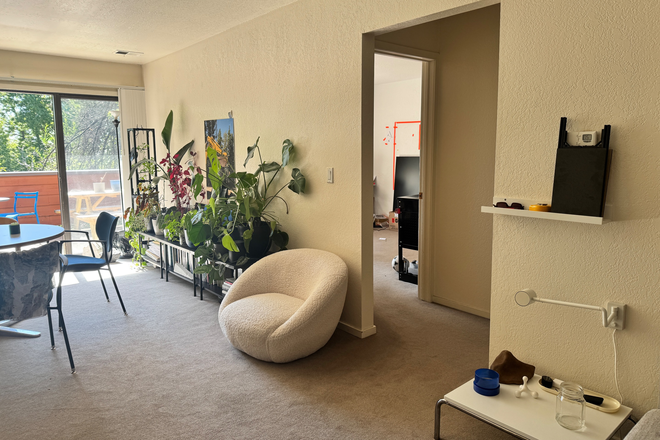 Living Room - Evergreen Apartments