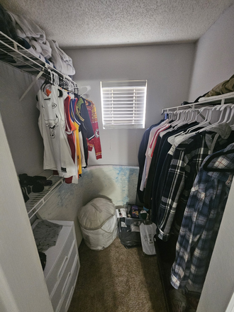 Closet - Mezzo of Tampa Palms Apartments