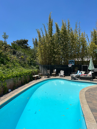 Backyard/Pool - Five bedroom house with pool in University City