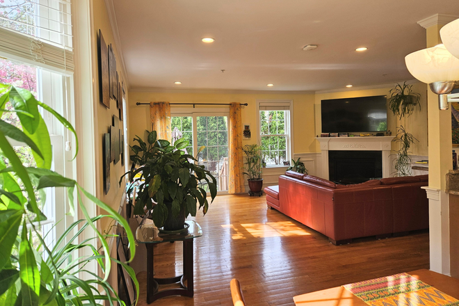Living Room - Elegant, Fully Furnished Townhome in Belmont