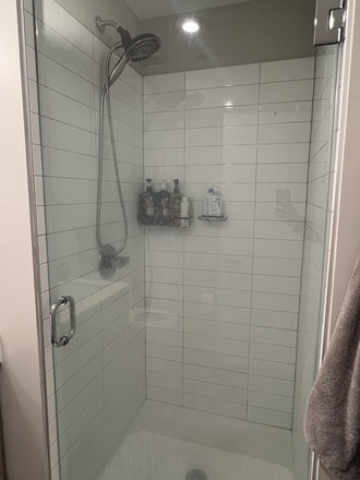Shower - The Link Evanston