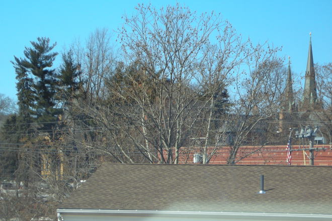 View from Roof Windows - Great Third Floor Downtown Northampton One Bedroom with washer/dryer Apartments