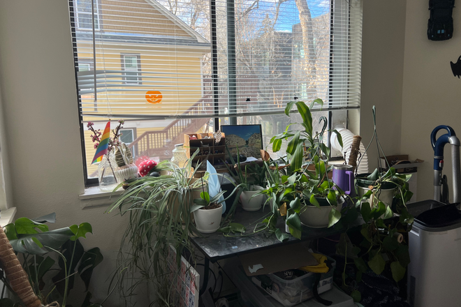 Plants by Window - Private Room with Bathroom for Sublease Spring Semester 2026 Apartments